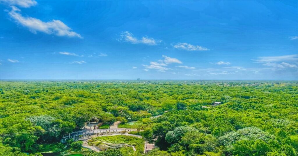 Ananthagiri Hills