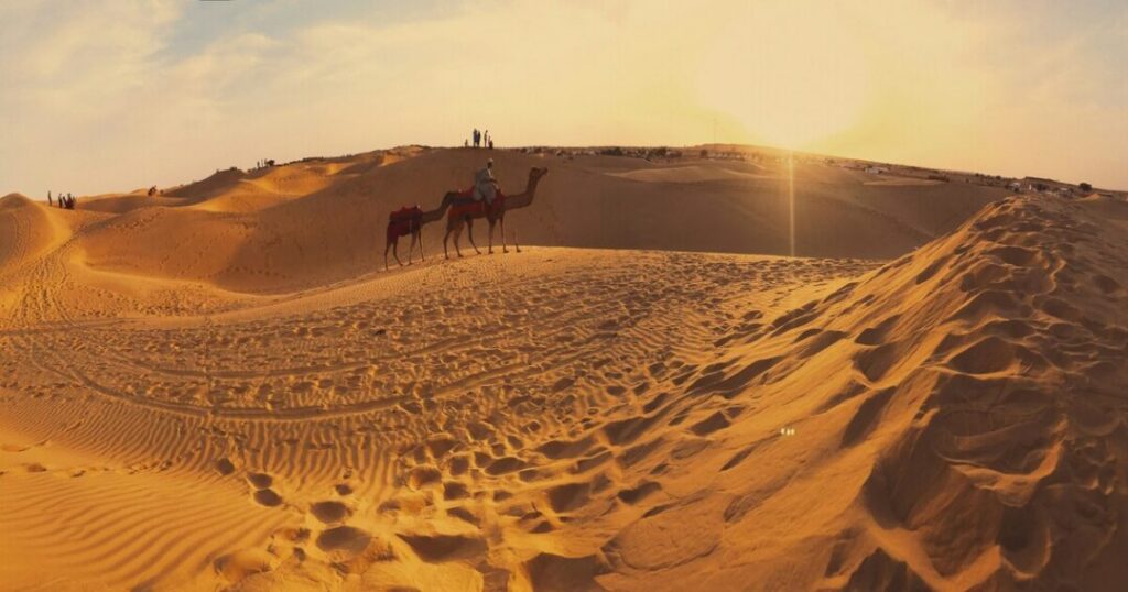 Desert Safari in Jaisalmer