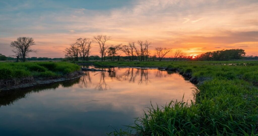 Harike Wetland, Punjab