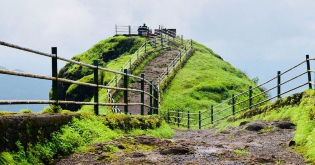 Lodwick Point