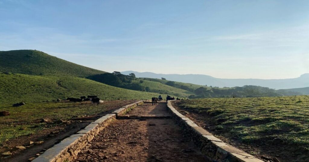 Madikeri 