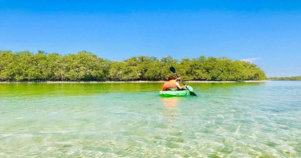 Mangrove National Park