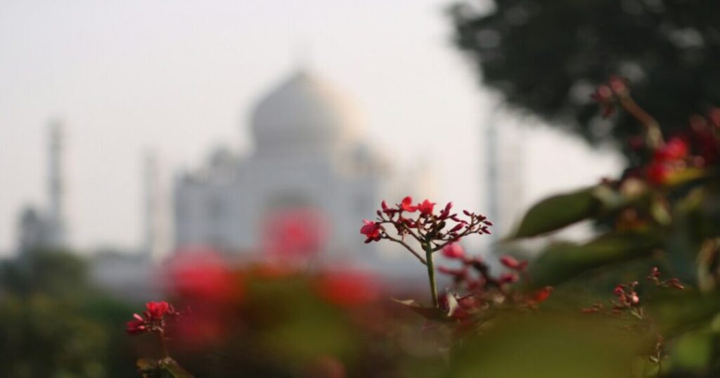 Mehtab Bagh 