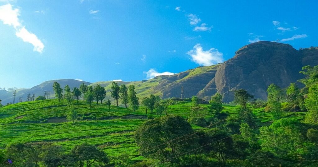 Munnar, Kerala