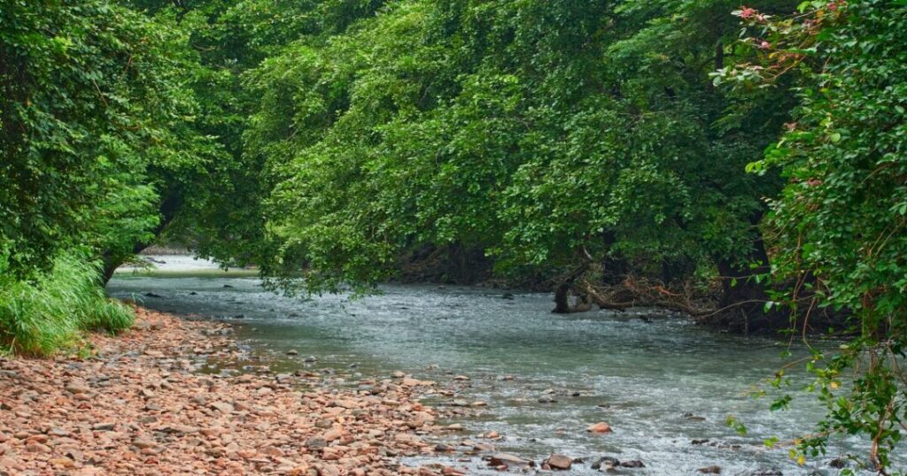 Sanjay Gandhi National Park 