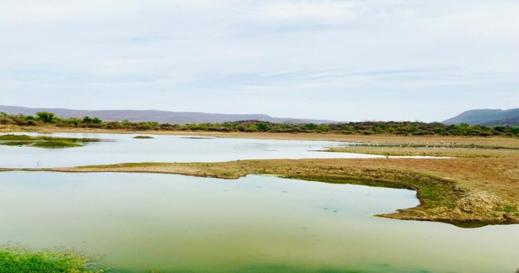 Sariska National Park