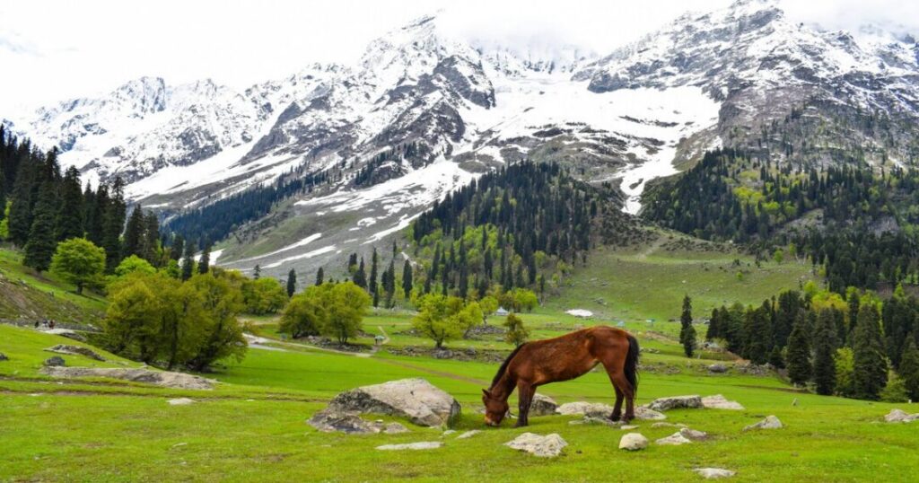 Sonamarg 