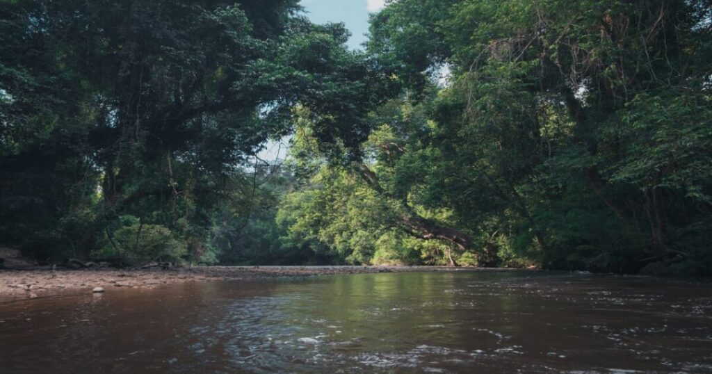 Taman Negara, Malaysia
