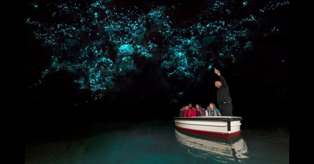 Waitomo Glowworm Caves, New Zealand