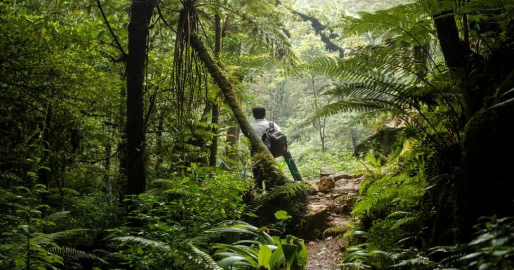 Agasthyakoodam Trek Location