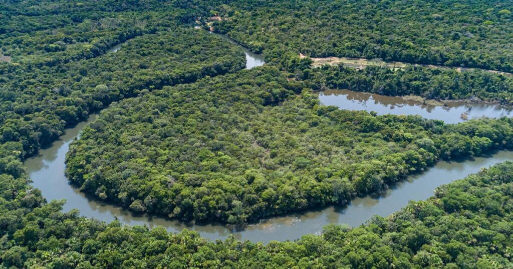 Amazon Rainforest, South America
