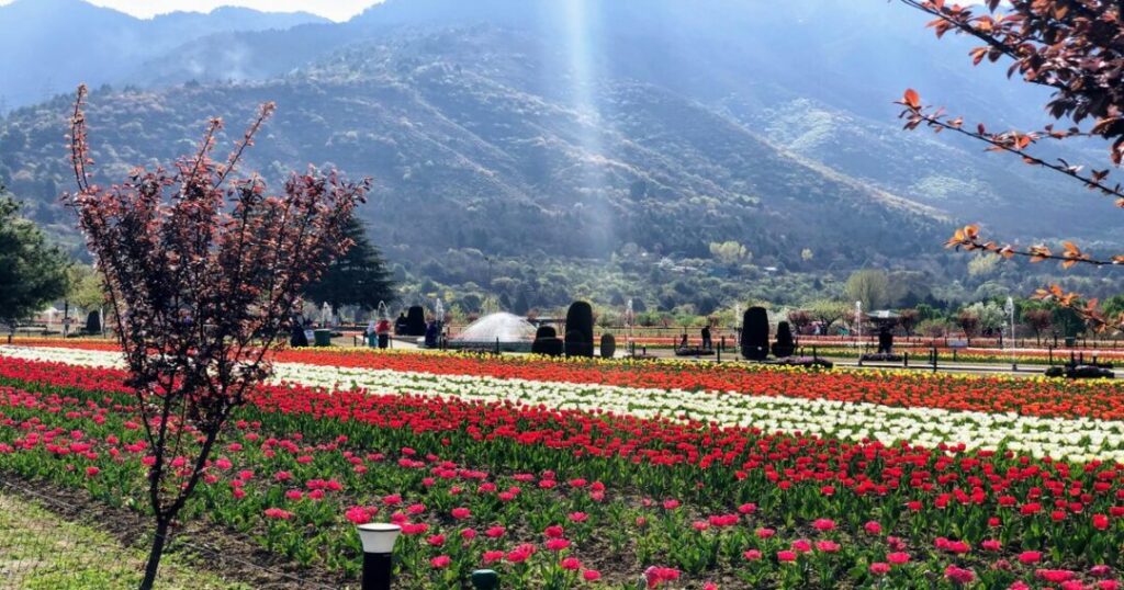 The Mughal Gardens 