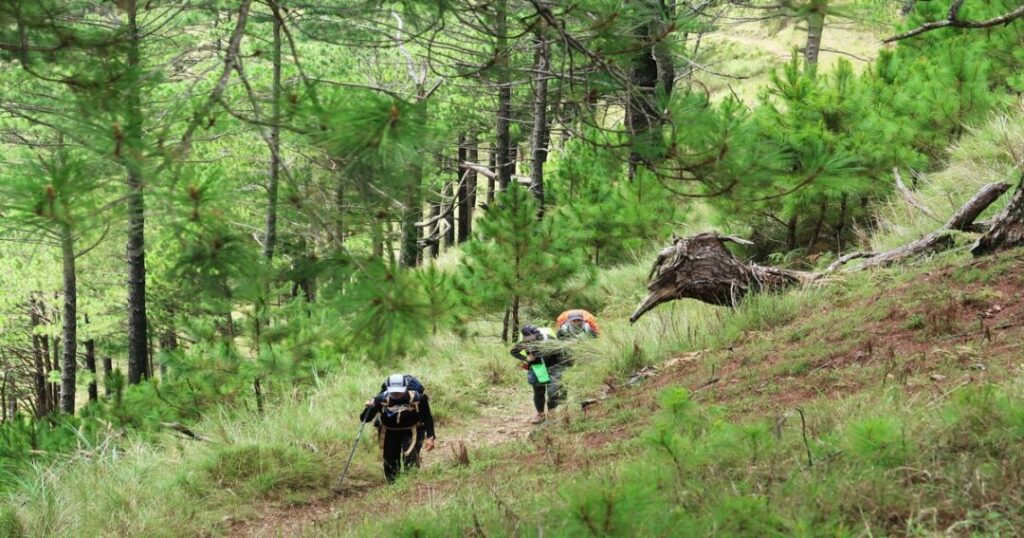 Trekking in Ananthagiri Hills