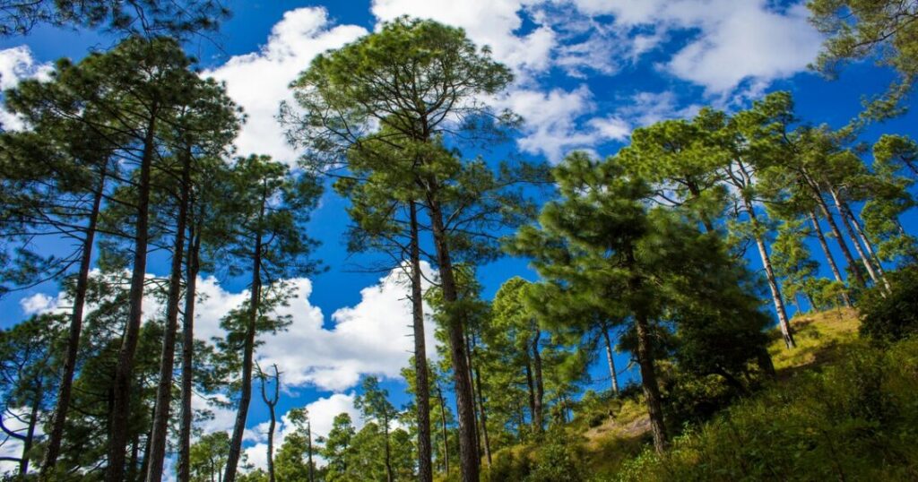  Zero Point, Binsar