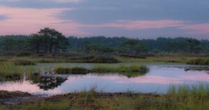 Watlands Places