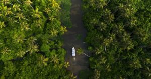 places to visit in Alleppey