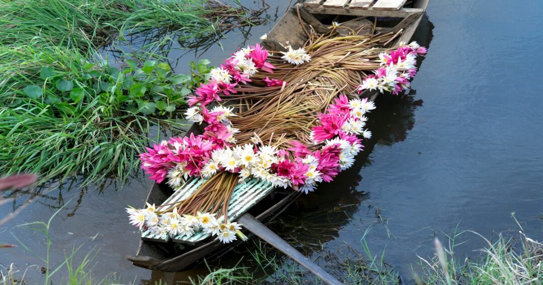 Chiang Mai Flower Festival 2026