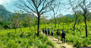 Agasthyakoodam Trek