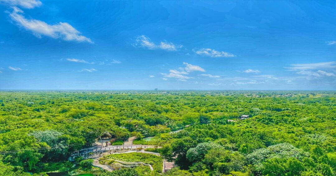 Ananthagiri Hills Trek: Complete Guide to Routes, Tips & Best Time to Visit