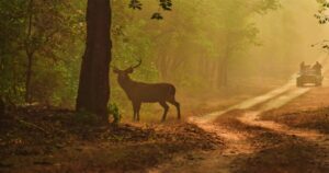 national parks