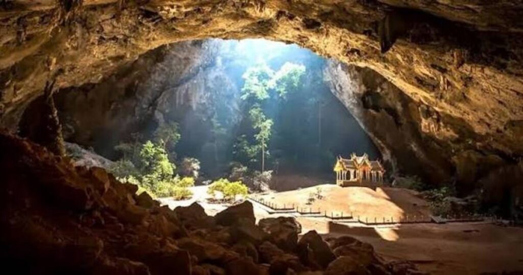 Eco Cave Gardens