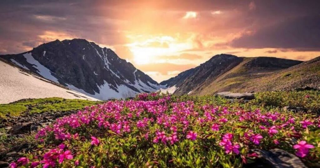 The Valley of Flowers Trek