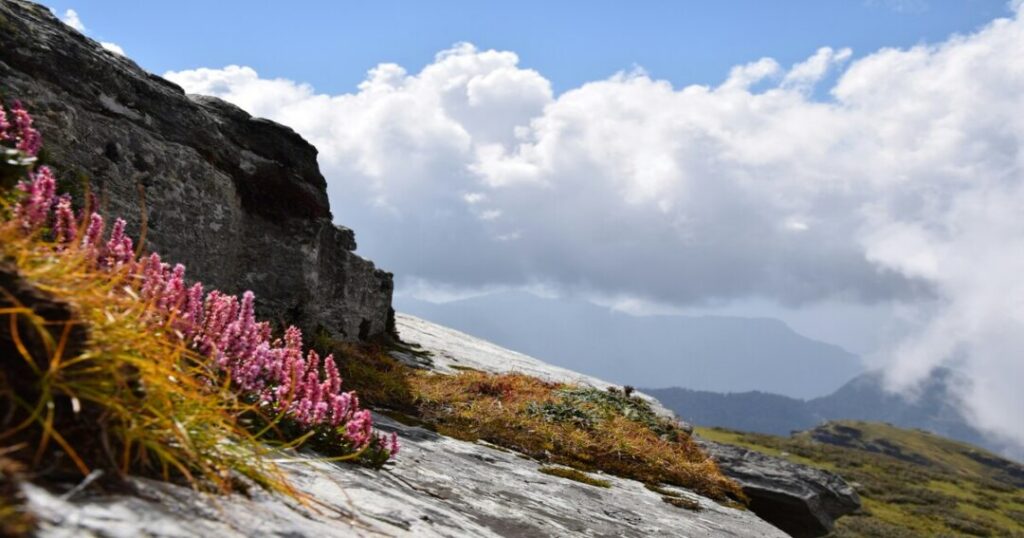 Rudranath Trek