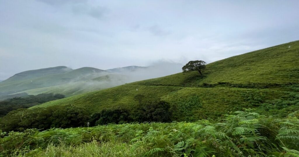 About Kudremukh Peak
