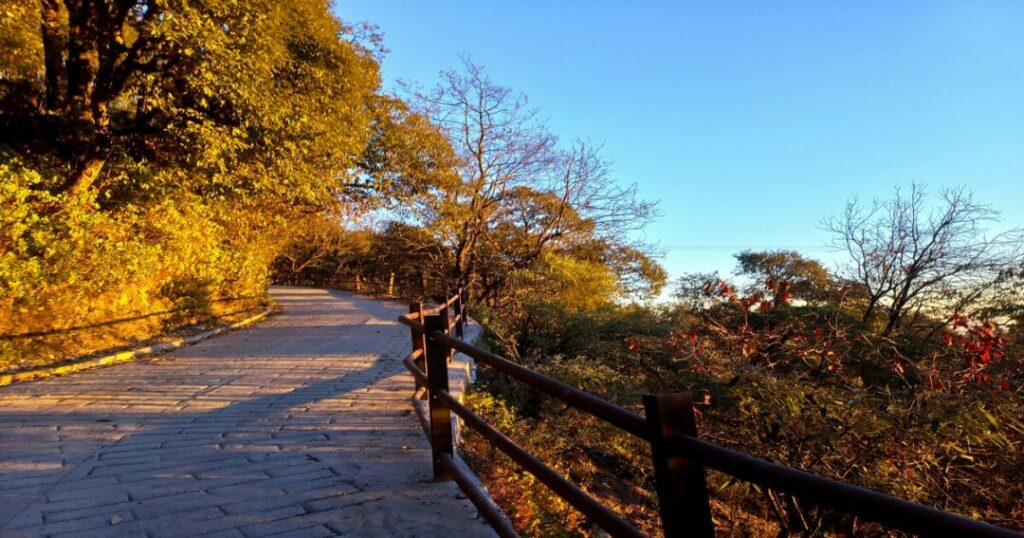 Camel's Back Road