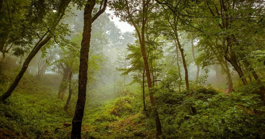 Agasthyakoodam Trek is So Popular