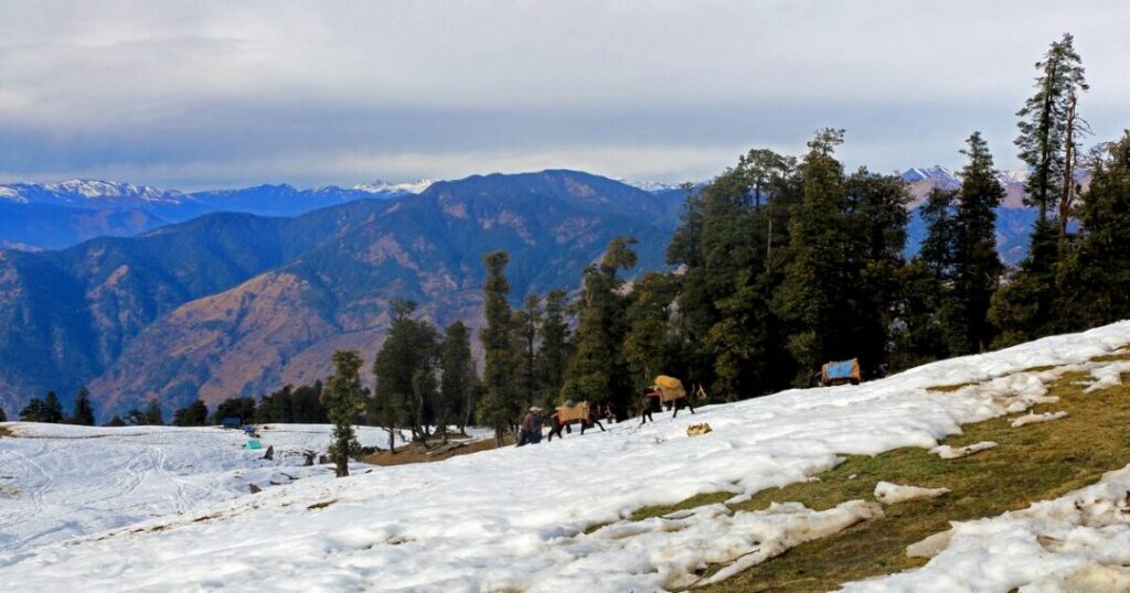 Kedarkantha Trek