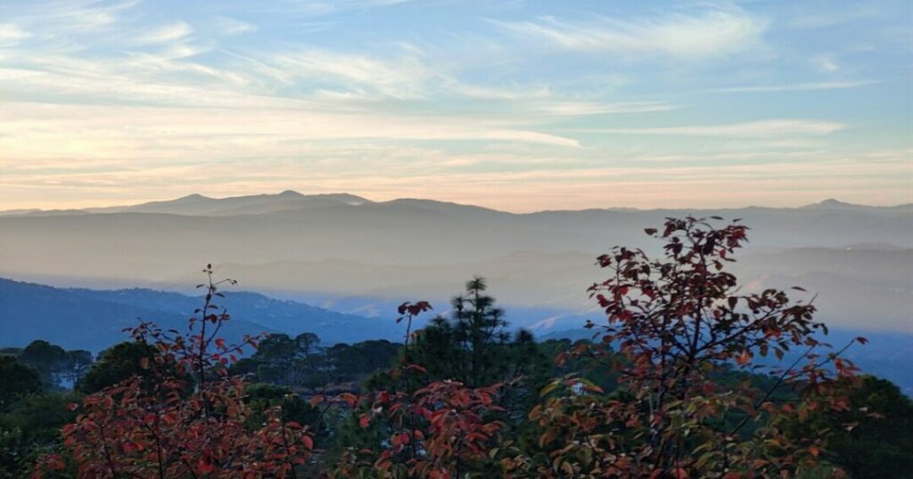 Ranikhet