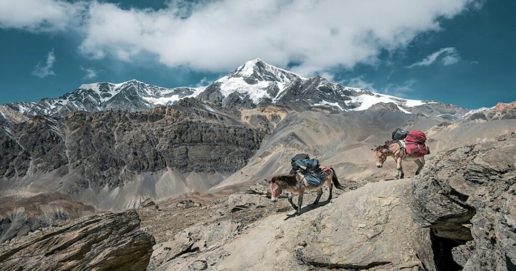 How to Reach Pantwari (Nag Tibba Base Village)?