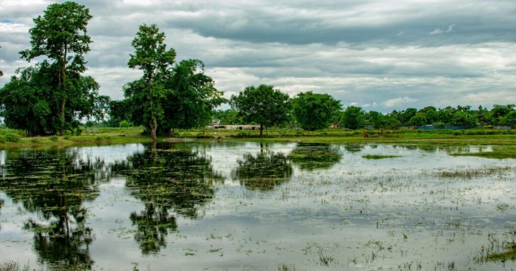 Places to Visit in Siliguri
