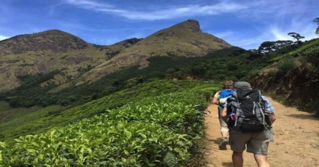 Kolukkumalai Peak Trek