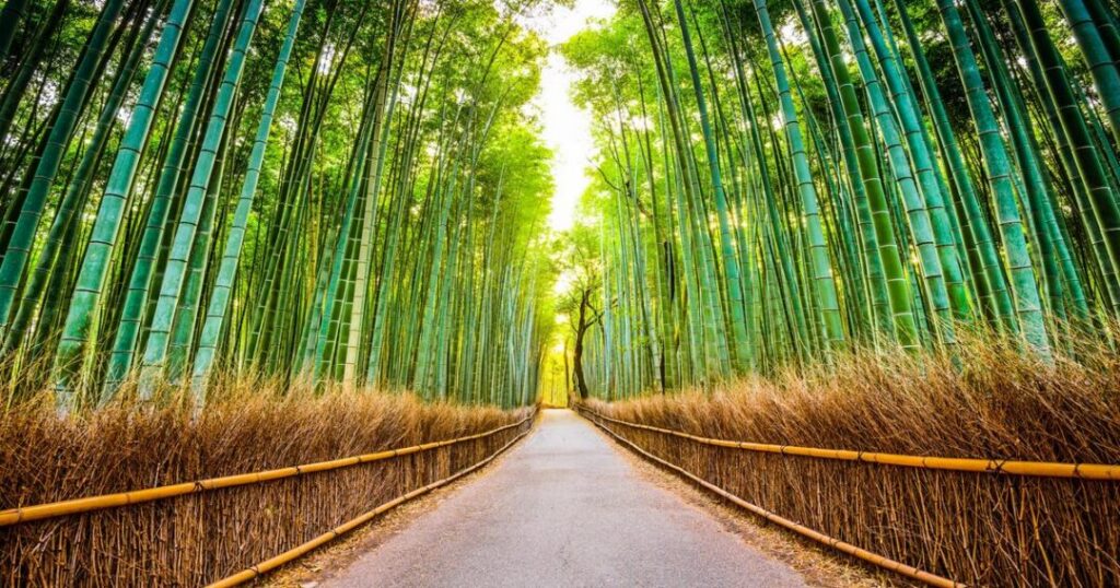 Kyoto