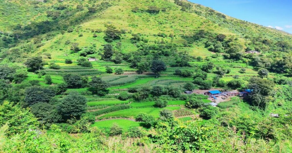 Things to Do in Chakrata