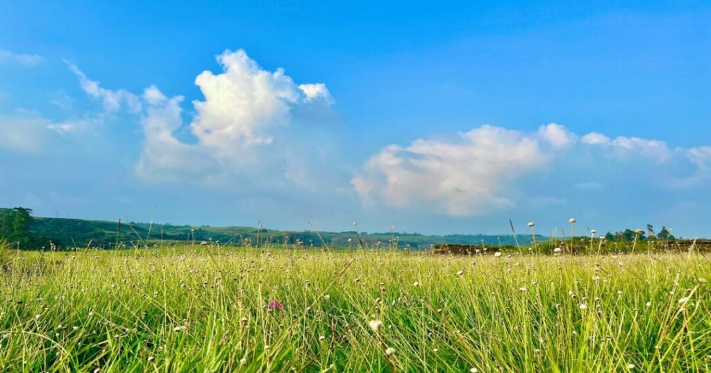 Things to Do in Cherrapunji