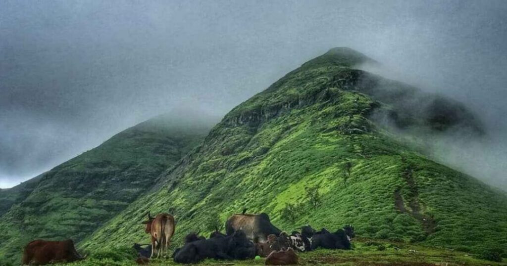 Brahmagiri Trek