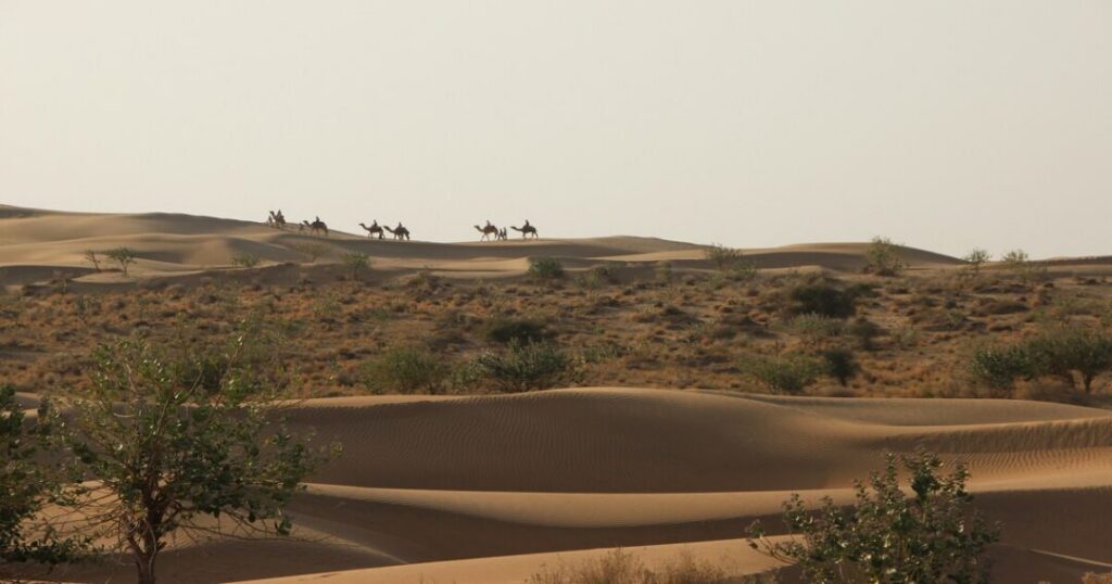 Visit Places in Jaisalmer