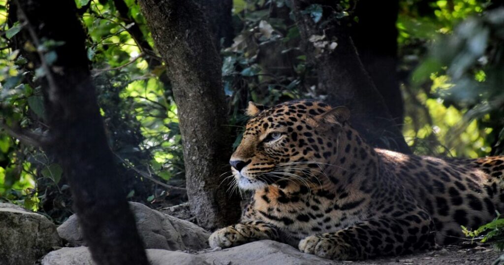 Largest National Parks in India