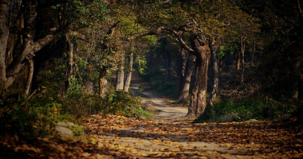 Largest National Parks in India
