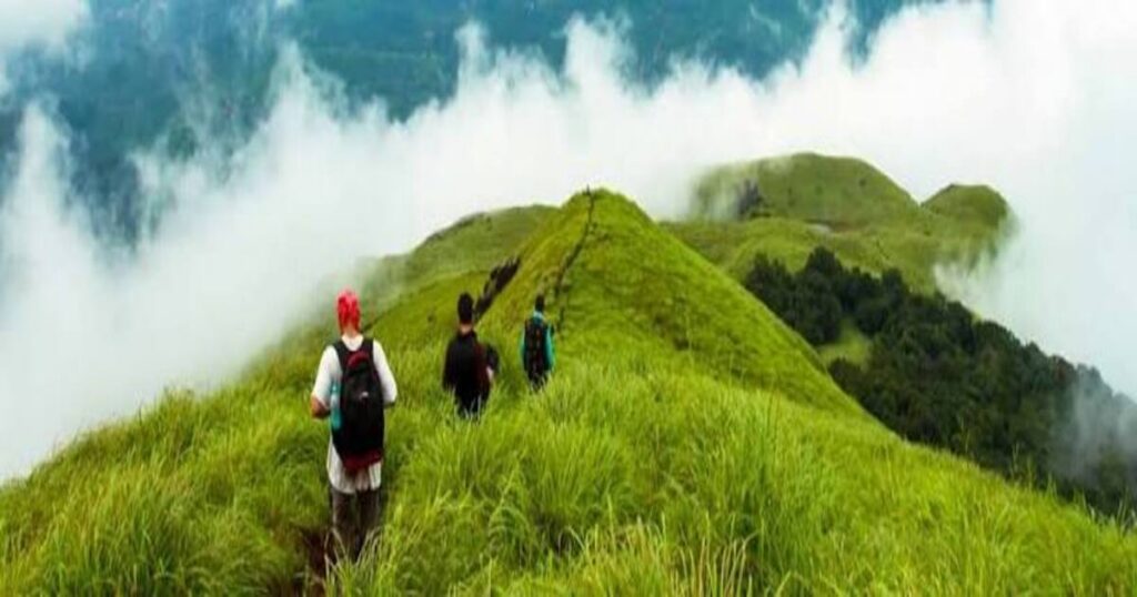Chembra Peak Trek Itinerary