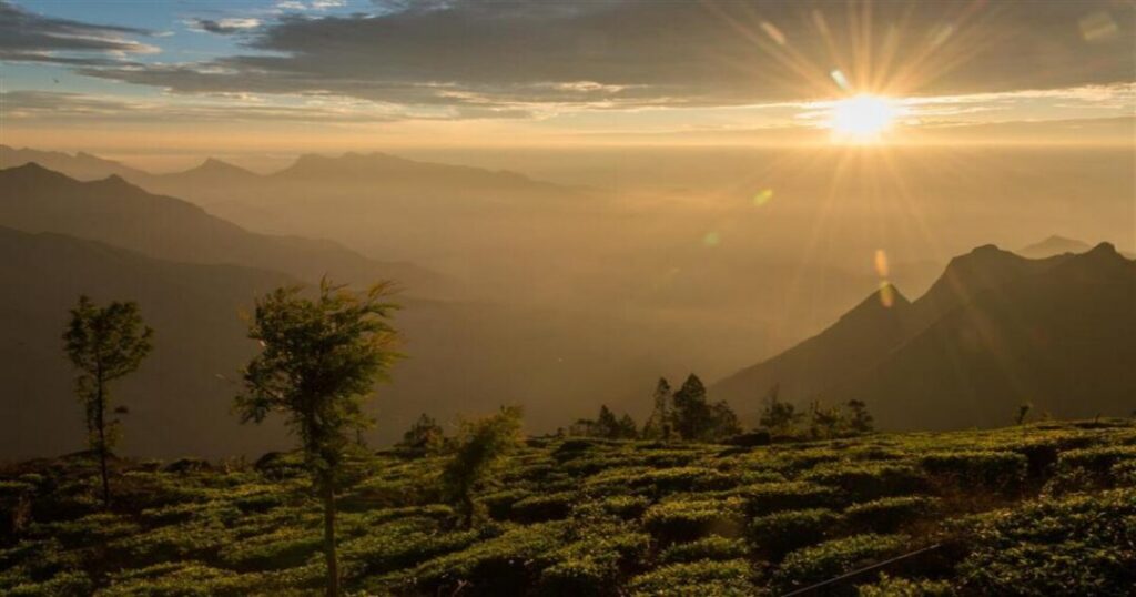 Kolukkumalai Peak