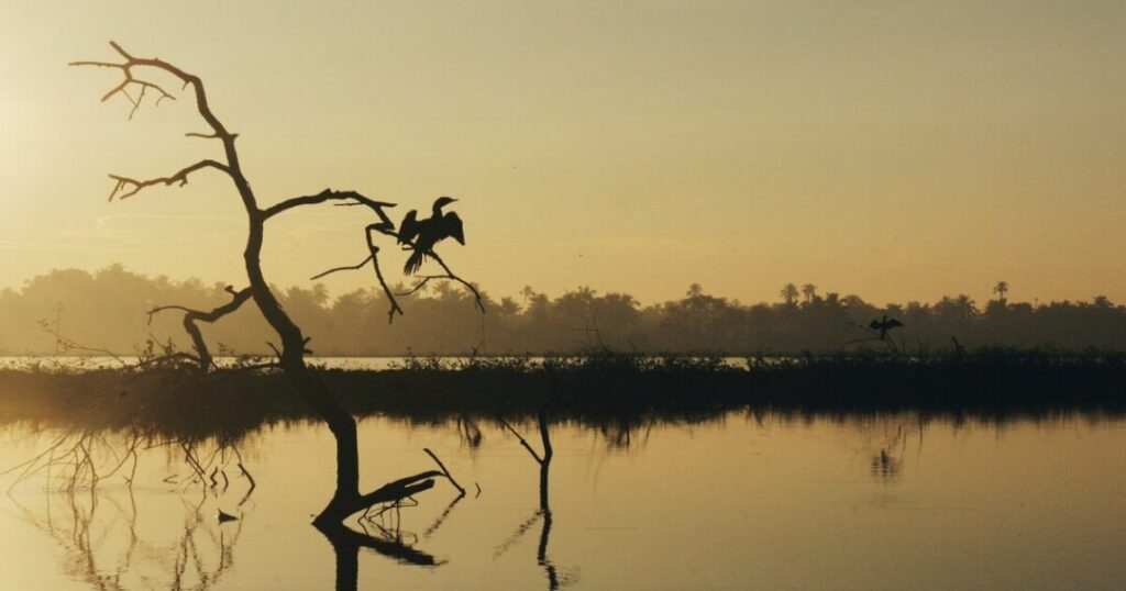 Alappuzha (Alleppey) Backwaters