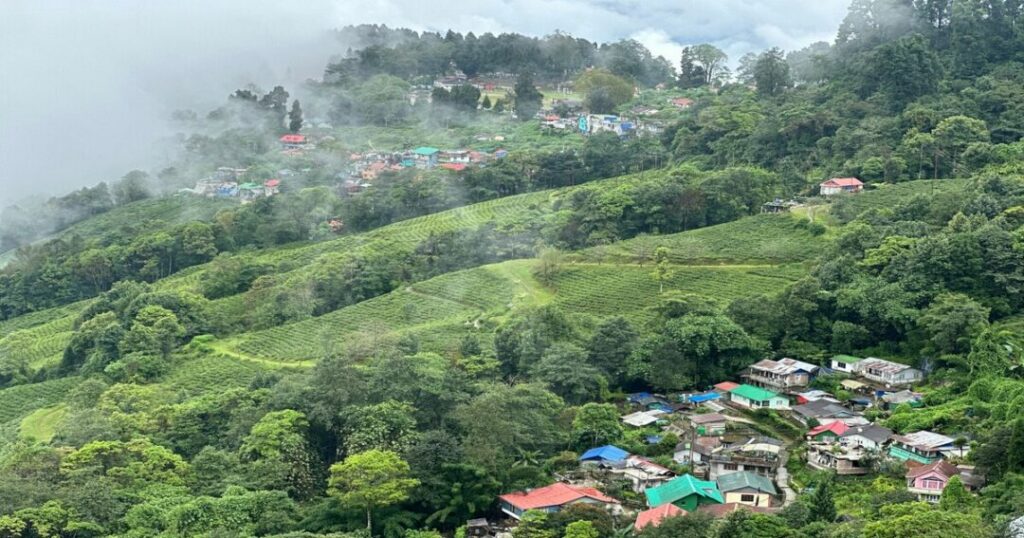 Darjeeling (Day Trip)