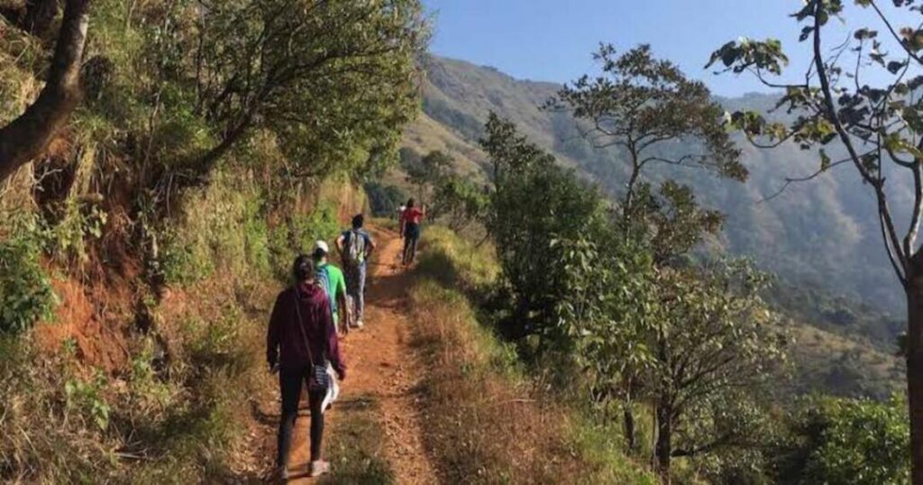 Brahmagiri Trek