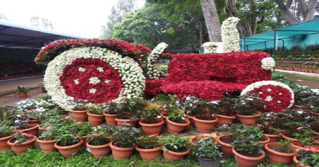  Botanical Garden