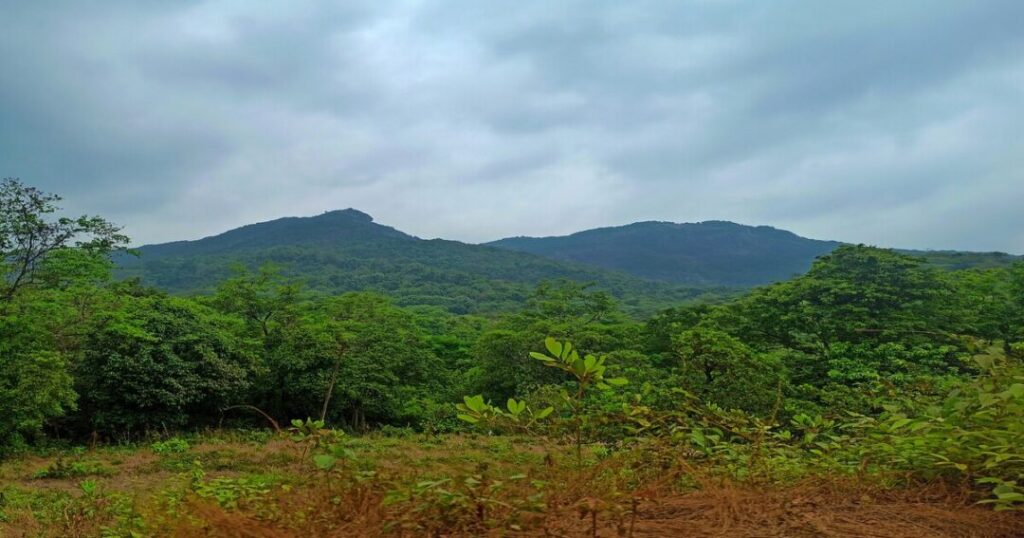 Best Time to Visit Dudhsagar Waterfalls