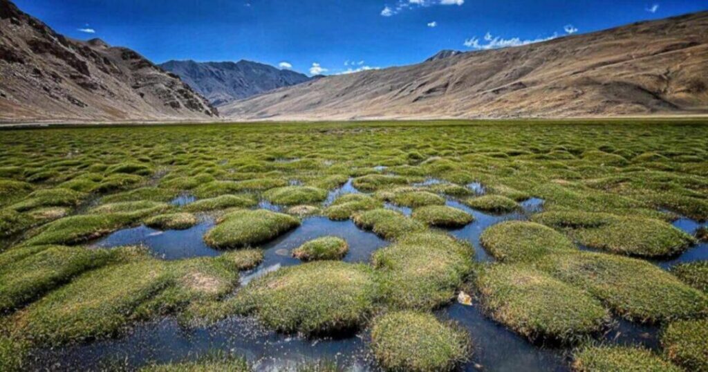 Chumathang and Puga Valley Hot Springs